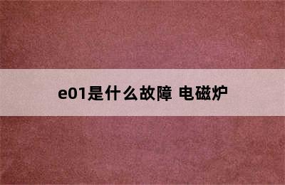 e01是什么故障 电磁炉